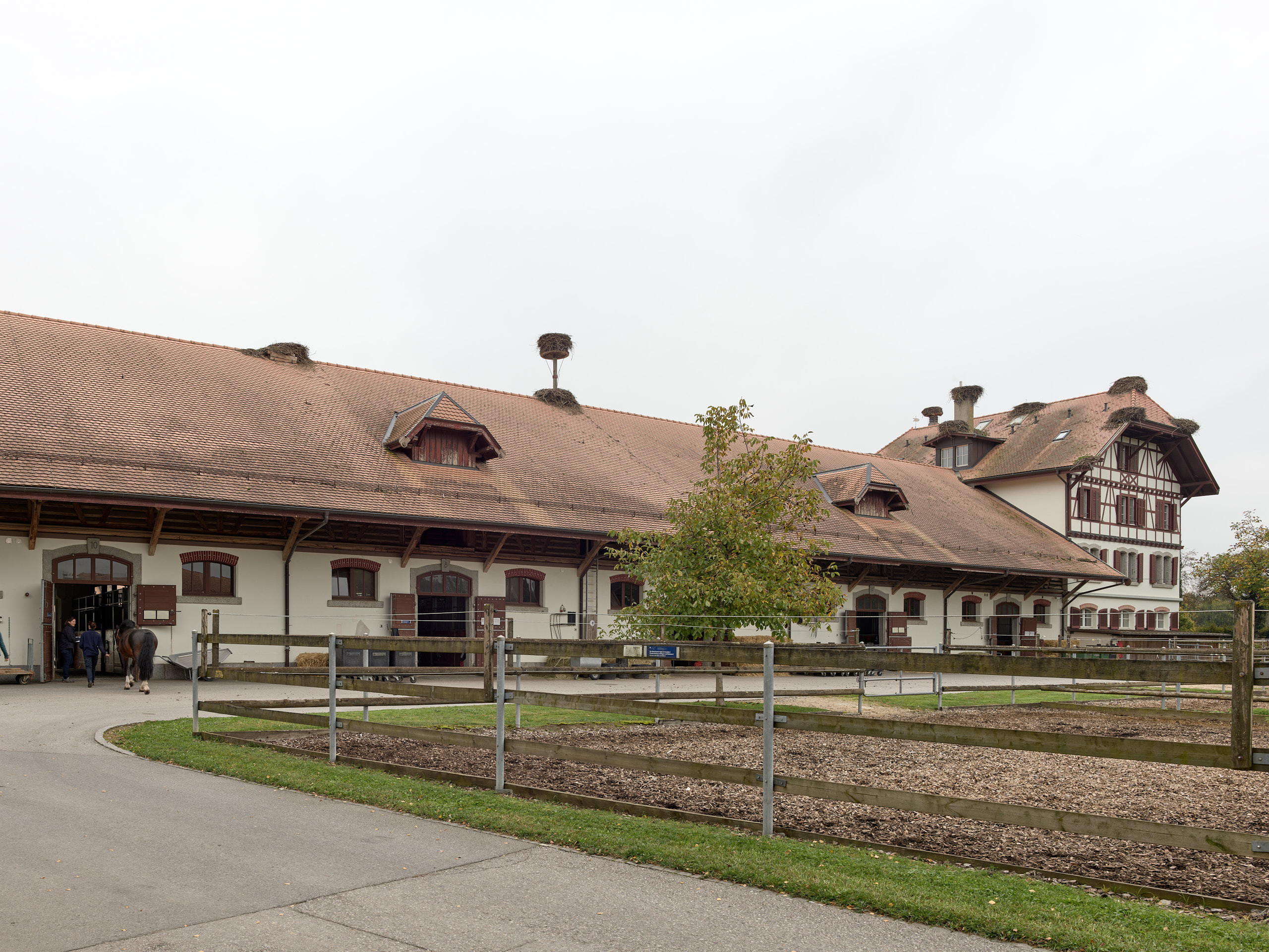Haras National